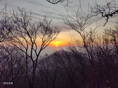 -紫金山山顶公园