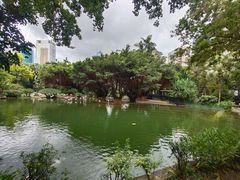-九龙公园