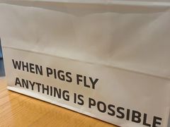 -WHEN PIGS FLY当猪飞