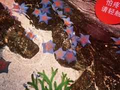 -沈阳海洋探索中心