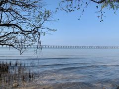 -宝安西湾红树林湿地公园