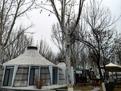 -九十九顶毡房(阜石路店)