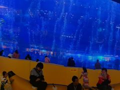 -成都浩海立方海洋公园