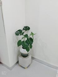 -海涛医疗美容·面部抗衰·注射美鼻