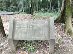 -西湖风景区十里琅珰-五云山