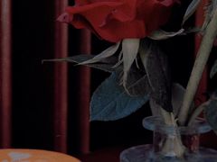 -上古咖啡ShadowCafe&Reastaurant(哈尔滨中央大街店)