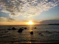 -金鸡岭桥头公园