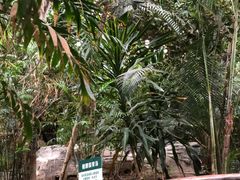 -龙达温泉生态城