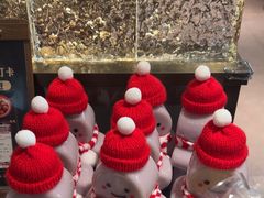 -张翻越·川渝冒菜·武汉黑鸭煲(城北万象城店)