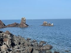 -涉地可支
