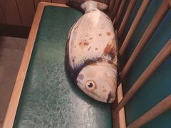 -望湘园·洞庭渔宴(永旺店)