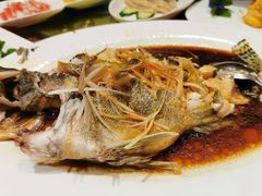 清蒸桂鱼-烤肉宛饭庄(南礼士路店)