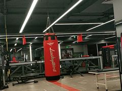 -金吉鸟健身游泳