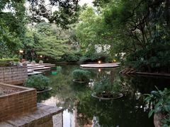 -九龙公园