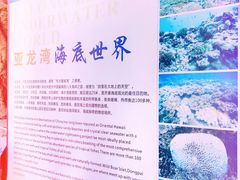-亚龙湾海底世界