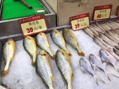 水产区-东江海鲜酒家(艺都分店)