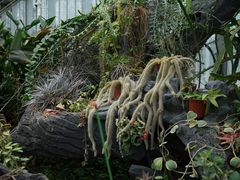 -国家植物园南园