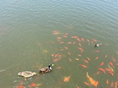 -前关湿地公园