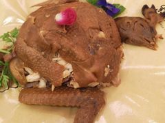 -紫光园(顺义店)