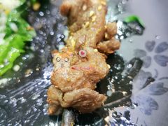 红柳枝羊肉串-陈老斯呼尔嗨吃烧烤(科巷店)