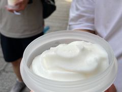 -洪馨椰子