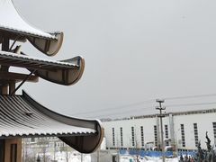 -丽苑大酒店
