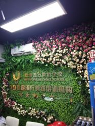 -欲非舞蹈