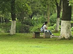 -紫霞湖公园