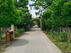 -上海长兴岛郊野公园