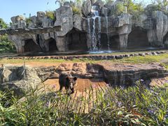 -海南热带野生动植物园