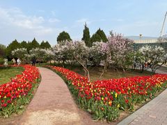 -石家庄市植物园