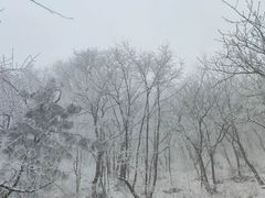 -妙峰山风景名胜区