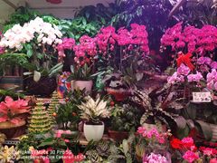 -三旗百汇商品城