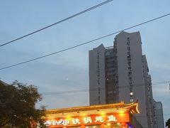 -鸽子刘铁锅炖鱼(劲松店)