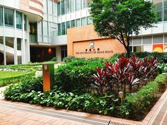 -香港大学