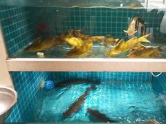 -元银甲·湖北地标美食(汉阳店)