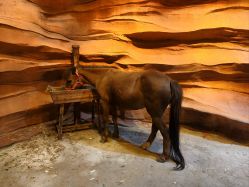 -酷嗒动物文化乐园(cutezoo西溪乐天城店)