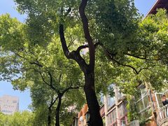 -飞马旅黎黄陂路文旅街区