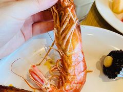 -齐河孔雀王温泉酒店·金孔雀自助百汇