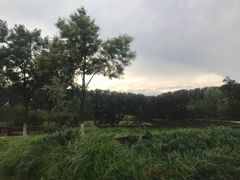-东郊湿地公园