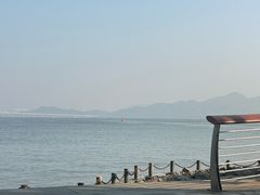 -ommo cafe(半岛城邦店)