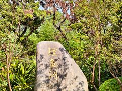 -福建鲤鱼洲酒店