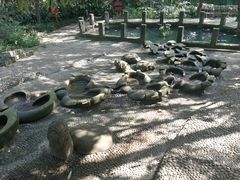 -成都市活水公园