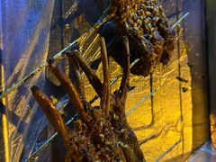 -勃利地摊·勃立小串烧烤