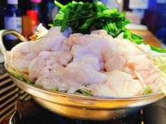 博多牛肠火锅-九州酒场ひこぞう(1号店)