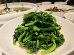 五粮液嫩豆苗-玫瑰厅上海菜(兴国路店)