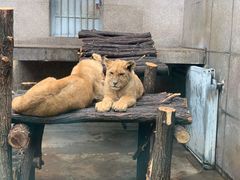 -西安秦岭野生动物园