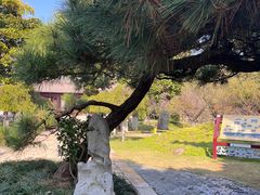 -观音山