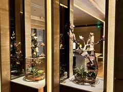 -浅深(北京北四环精品店)