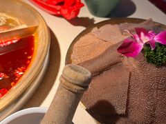 -小龙坎火锅(全球旗舰店)